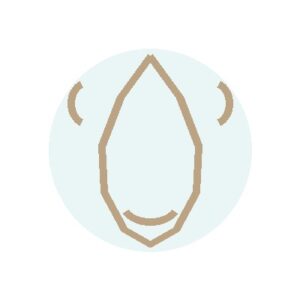 Hydrodermabrasion icon